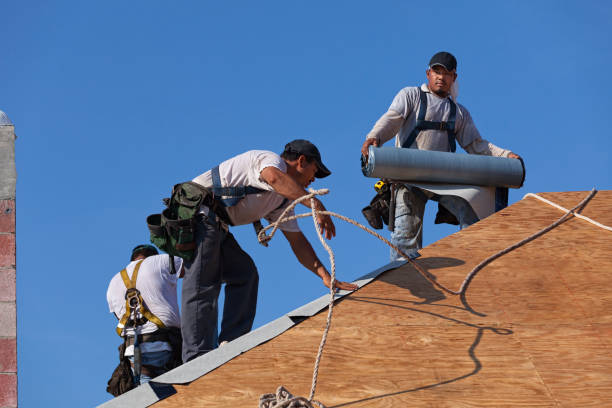 Best Gutter Installation and Roofing  in Seneca Knolls, NY